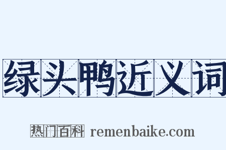 绿头鸭近义词是什么意思的图片